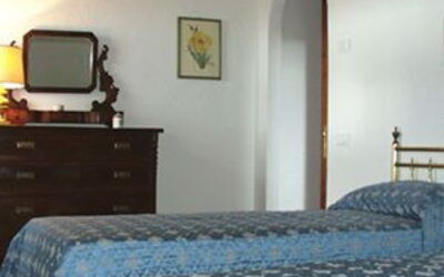 Logement:&nbsp;Mirtus