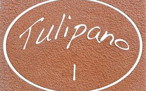 Logement:&nbsp;Tulipano