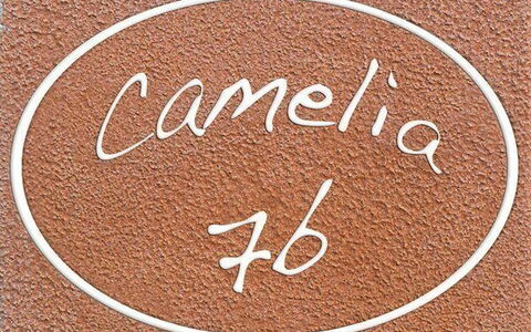Logement:&nbsp;Camelia