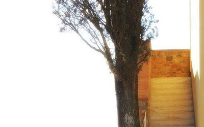 Logement:&nbsp;Ortensia