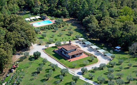 La Casetta nel Bosco: Propriété, Plante, Bâtiment, Lot Terre, Design Urbain, Arbre, Herbe, Loisir, Zone Résidentielle, Zone Rurale