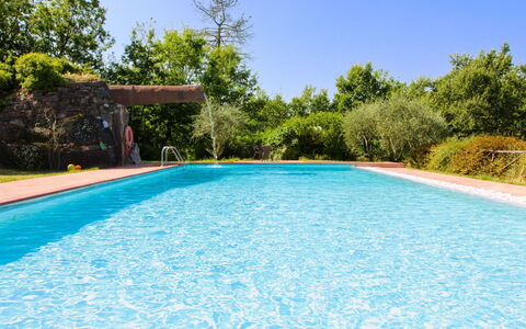 La Casetta nel Bosco: Biens, Ferme, Jardin, Aménagement Paysager, Hacienda, Pelouse, Villa, Cour, Arrière-Cour, Manoir