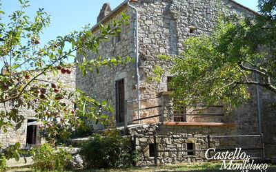 The “Nibbio” of the castle