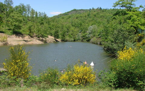 Civitella: Plan D'Eau, Ressources En Eau, Paysage Naturel, La Nature, Végétation, Réserve Naturelle, L'Eau, Banque, Lac, Environnement Naturel