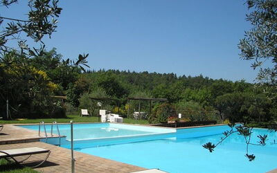 Orciaia