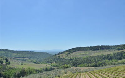 Agriturismo Concadoro