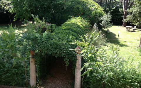 Villa Quattro Mori: Plante, Lot Terre, Arbre, Herbe, À Feuilles Persistantes, Suppression Des Plantes Ligneuses, Couverture De Sol, Haie, Arbuste, Paysage Naturel