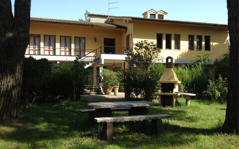 Villa Quattro Mori: Plante, Bâtiment, Ciel, Propriété, Fenêtre, Arbre, Ombre, Lot Terre, Zone Résidentielle, Herbe