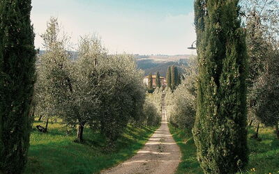 Cerchi