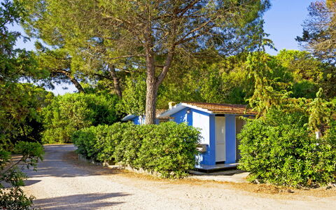 Logement:&nbsp;Etruria 200.7