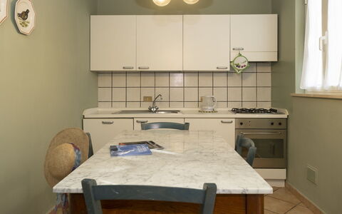 Logement:&nbsp;Barbara 250.2