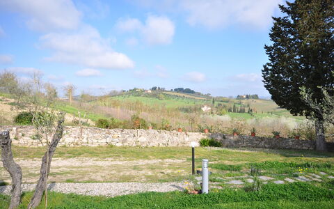 Capannino: Lot Terre, Pâturage, Prairie, Herbe, Arbre, Famille Grass, Zone Rurale, Ciel, Prairie, Printemps