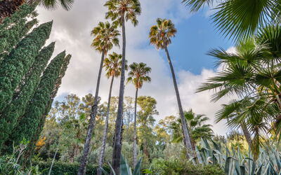 Logement:&nbsp;Villa le Palme 400.11
