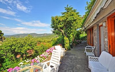 Punta Ala: Propriété, Immobilier, Maison, Bâtiment, Domicile, Chalet, Arbre, Pièce, Biens, Vacances