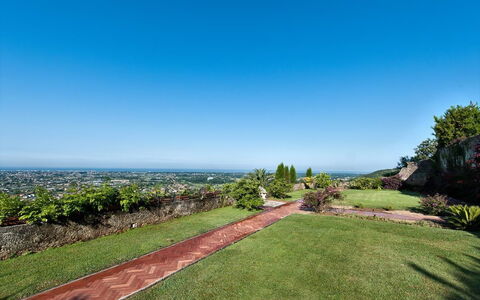 Villa Camaiore: Ciel, Propriété, Herbe, Immobilier, Jour, Lot Terre, Arbre, Jardin, Botanique, Pelouse