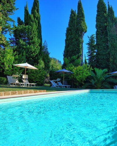 Villa Camaiore: Piscine, Propriété, Loisir, Vacances, Immobilier, L'Eau, Recours, Arbre, Biens, Maison