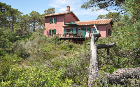 Casamare: Propriété, Maison, Arbre, Bâtiment, Chalet, Immobilier, Zone Rurale, Domicile, Architecture, Paysage