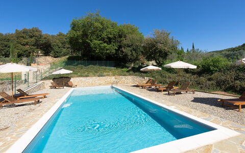 Villa Nova: Piscine, Propriété, Immobilier, Loisir, Maison, L'Eau, Vacances, Biens, Villa, Arbre