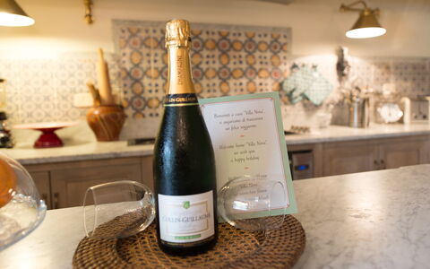 Villa Nova: Boisson, Champagne, Du Vin, Boisson Alcoolisée, Bouteille En Verre, Bouteille, Bouteille De Vin, Liqueur