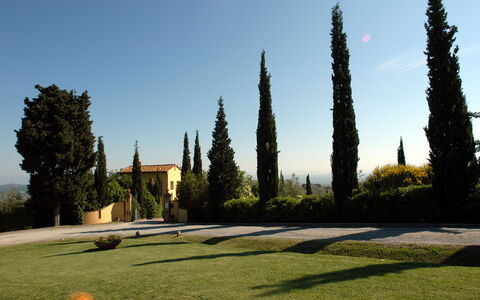 La Valle: Arbre, Ciel, Herbe, Suppression Des Plantes Ligneuses, Architecture, Plante, Paysage, Parc, Jardin, Aménagement Paysager