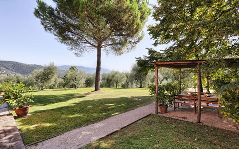 Le Pergole: Propriété, Immobilier, Paysage Naturel, Arbre, Maison, Herbe, Jardin, Domicile, Botanique, Cour