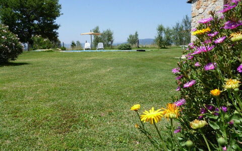 Funghi 1: Pelouse, Prairie, Herbe, Jardin, Fleur, Environnement Naturel, Cour, Prairie, Plante, Wildflower