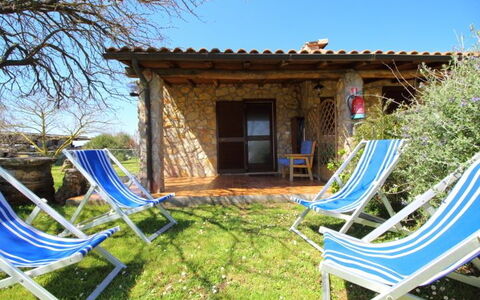 Funghi 1: Propriété, Maison, Bâtiment, Chalet, Arbre, Villa, Arrière-Cour, Immobilier, Loisir, Domicile