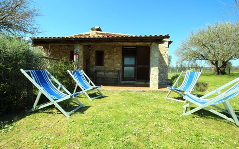 Funghi 1: Propriété, Chalet, Maison, Bâtiment, Immobilier, Arrière-Cour, Domicile, Cour, Arbre, Villa