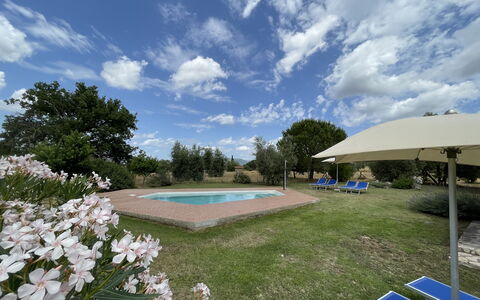 Funghi 1: Nuage, Ciel, Plante, Fleur, Piscine, L'Eau, Arbre, Herbe, Mobilier De Jardin, Ombre