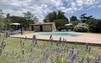 Funghi 1: Nuage, Plante, Ciel, L'Eau, Fleur, Piscine, Arbre, Herbe, Paysage Naturel, Loisir