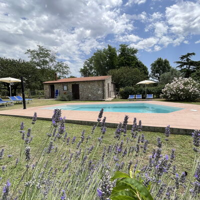 Funghi 1: Nuage, Plante, Ciel, L'Eau, Fleur, Piscine, Arbre, Herbe, Paysage Naturel, Loisir