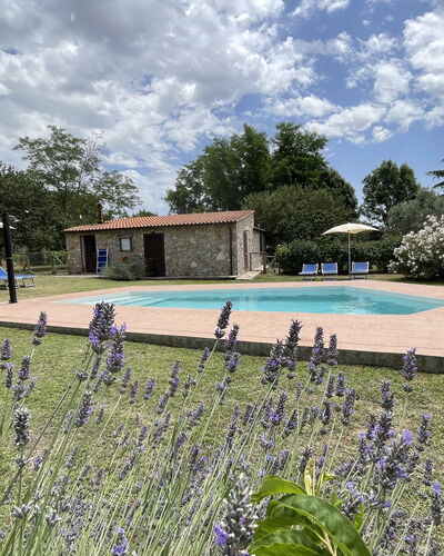 Funghi 1: Nuage, Plante, Ciel, L'Eau, Fleur, Piscine, Arbre, Herbe, Paysage Naturel, Loisir