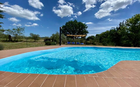 Funghi 2: L'Eau, Ciel, Nuage, Ressources En Eau, Piscine, Plante, Bleu Azur, Rectangle, Arbre, Ombre