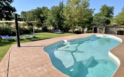 Funghi 2: Ciel, Plante, Arbre, Ombre, Design Urbain, Herbe, Surface De La Route, Loisir, L'Eau, Mobilier De Jardin