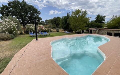 Funghi 2: Nuage, Ciel, L'Eau, Plante, Piscine, Arbre, Ombre, Loisir, Composite, Immobilier