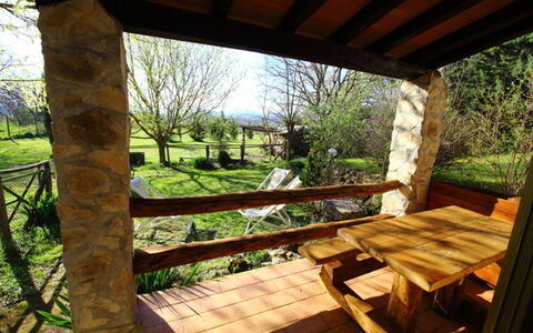 Funghi 2: Propriété, Paysage Naturel, Pièce, Bâtiment, Maison, Arbre, Porche, Immobilier, Chalet, Aménagement Paysager