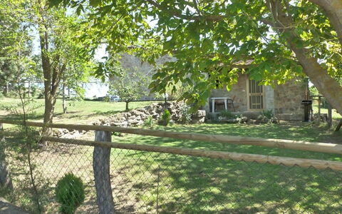 Funghi 2: Propriété, Arbre, Cour, Maison, Lot Terre, Arrière-Cour, Herbe, Domicile, Immobilier, Pelouse