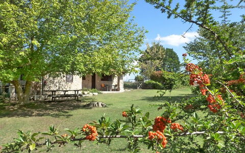 Funghi 2: Végétation, Propriété, Paysage Naturel, Maison, Jardin, Arbre, Fleur, Plante, Immobilier, Chalet