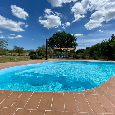 Funghi 2: L'Eau, Ciel, Nuage, Ressources En Eau, Piscine, Plante, Bleu Azur, Rectangle, Arbre, Ombre