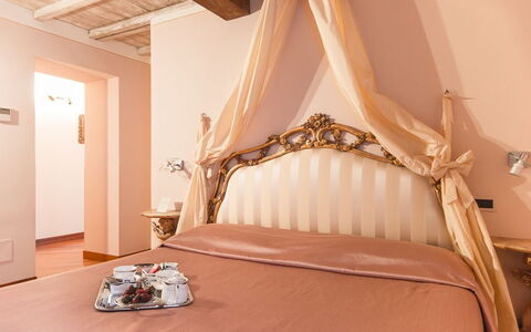 Logement:&nbsp;Camelia