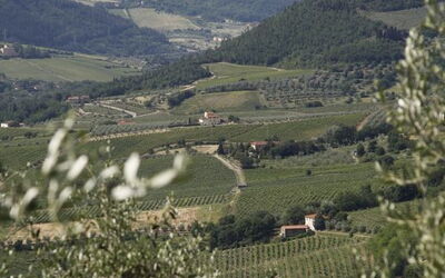 Logement:&nbsp;Pruno