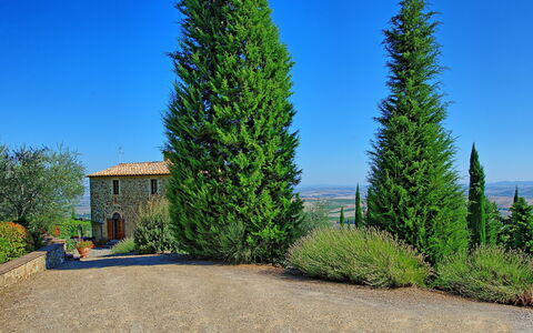 Villa Montalcino: Arbre, Plante, Suppression Des Plantes Ligneuses, Thuya, Pine Lodgepole, Biome, Red Juniper, À Feuilles Persistantes, American Mélèze, Conifère