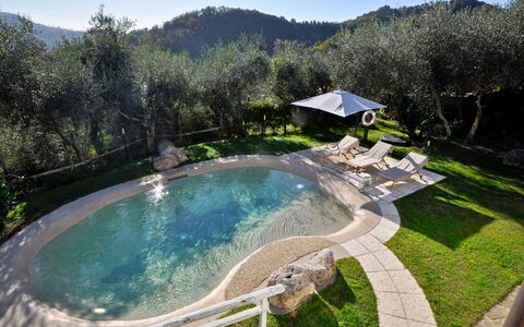 Casa Roberto: Piscine, Caractéristique De L'Eau, Jardin, Recours, Aménagement Paysager, Ville Resort, Hacienda, Villa, Arrière-Cour, Eco Hôtel