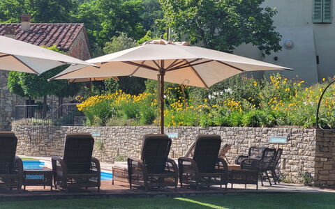 Angeloni: Plante, Meubles, Parapluie, Chaise, Table, Ombre, Arbre, Mobilier De Jardin, Botanique, Bâtiment