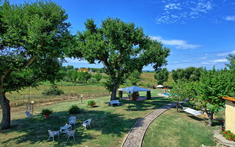 Casa Catia: Propriété, Arbre, Immobilier, Cour, Transport, Jardin, Maison, Lot Terre, Zone Rurale, Domicile