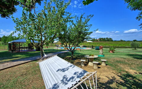 Casa Catia: Arbre, Immobilier, Herbe, Suppression Des Plantes Ligneuses, Loisir, Paysage, Plante, Zone Rurale, Maison, Des Loisirs
