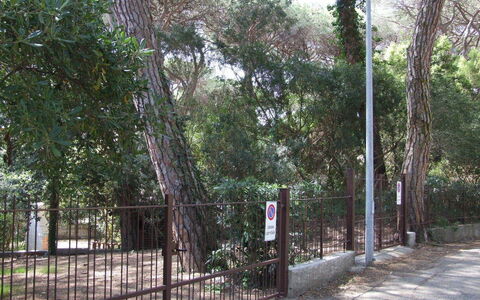 Appartamento - Le Finestre: Arbre, Propriété, Clôture, Suppression Des Plantes Ligneuses, Immobilier, Plante, Lot Terre, Maison, Forêt, Paysage
