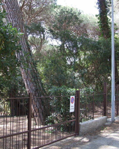 Appartamento - Le Finestre: Arbre, Propriété, Clôture, Suppression Des Plantes Ligneuses, Immobilier, Plante, Lot Terre, Maison, Forêt, Paysage