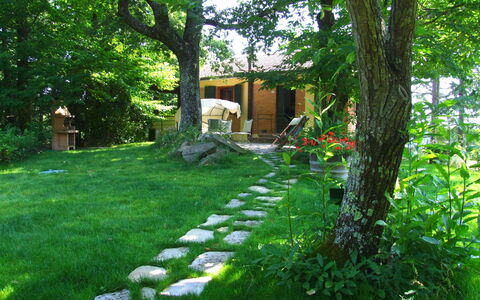 Villa La Quercia: Paysage Naturel, La Nature, Vert, Cour, Végétation, Herbe, Propriété, Arbre, Jardin, Arrière-Cour