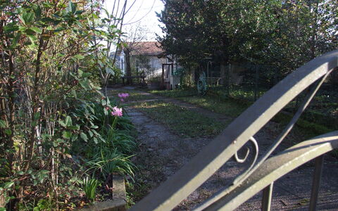 Villa Agrifogli: Transport, Arbre, Roue, Herbe, Le Fer, Plante, Maison, Route, Véhicule